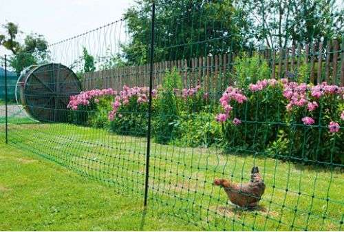 Création Dun Enclos Comment Installer Mon Grillage à Poules