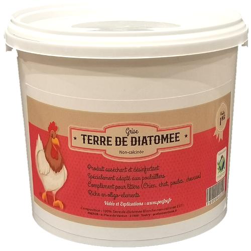 Comment Stimuler La Ponte De Mes Poules