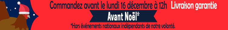 Livraison garantie avant Noël