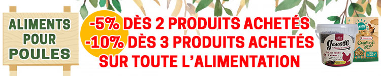 Remise sur toute l