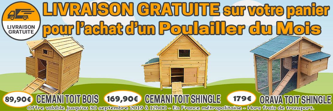 Poulaillers De Toutes Tailles Chemin Des Poulaillers
