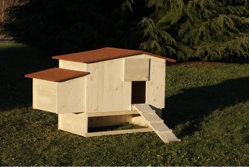 un poulailler surélevé pour protéger du froid ses poules